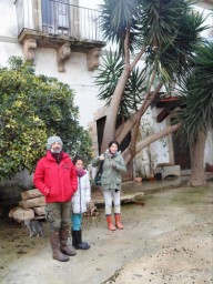 TN_SAM_4900_i vitale.JPG